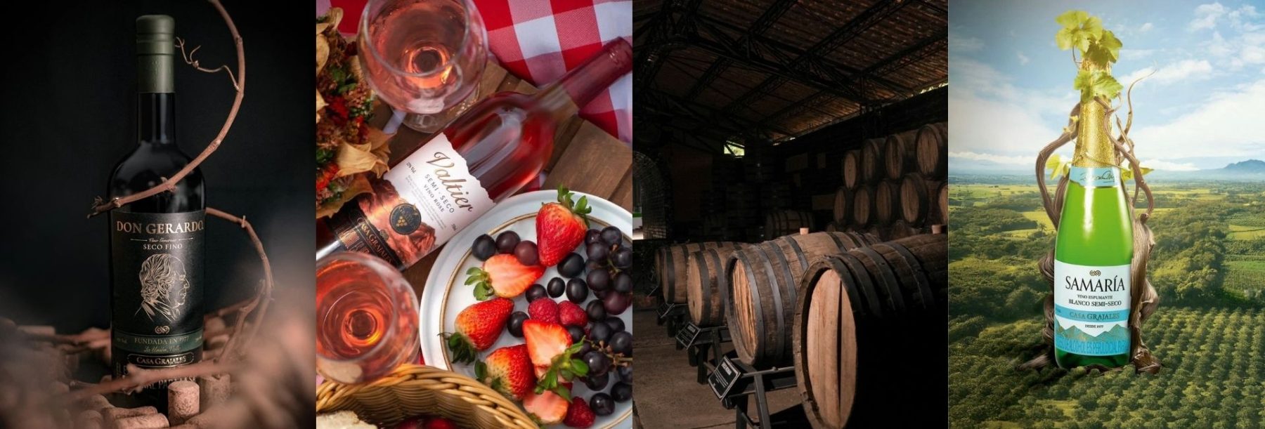 bodegas de vinos casa grajales